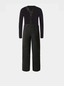 Брюки The North Face модель NF0A5G9BJK31 Фото