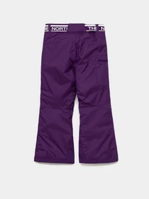 Брюки The North Face модель NF0A5G9DJC01 Фото