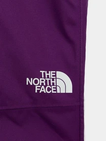 Брюки The North Face модель NF0A5G9DJC01 Фото