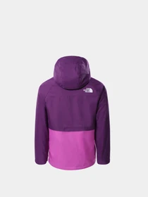 Куртки и дубленки The North Face модель NF0A5GCJJC01 Фото