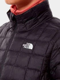Куртки и дубленки The North Face модель NF0A5GLDJK31 Фото