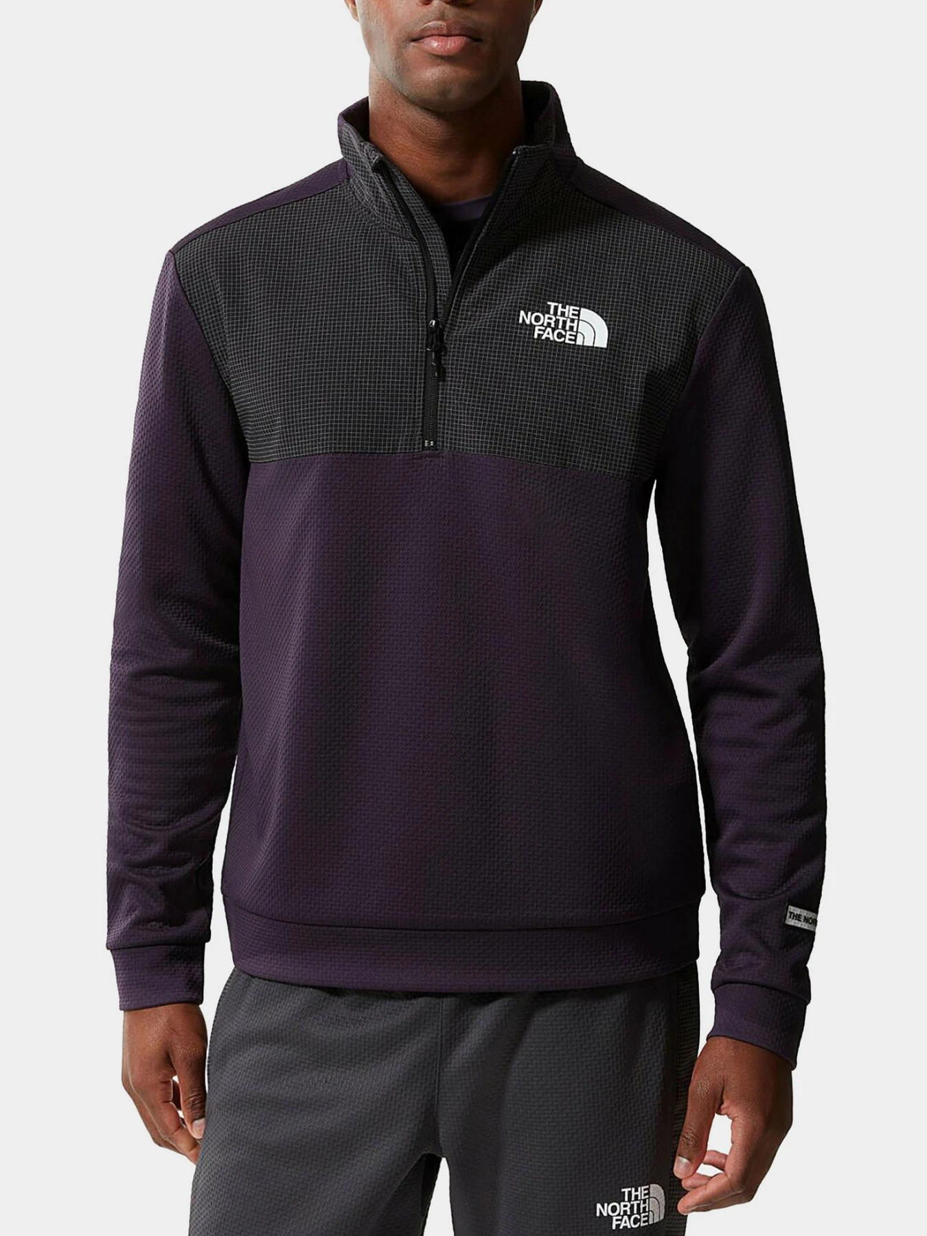 Худи и свитшоты The North Face модель NF0A5IBW3741 Худи и свитшоты The North Face модель NF0A5IBW3741 Фото
