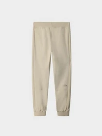 Брюки The North Face модель NF0A5IGE3X41 Фото