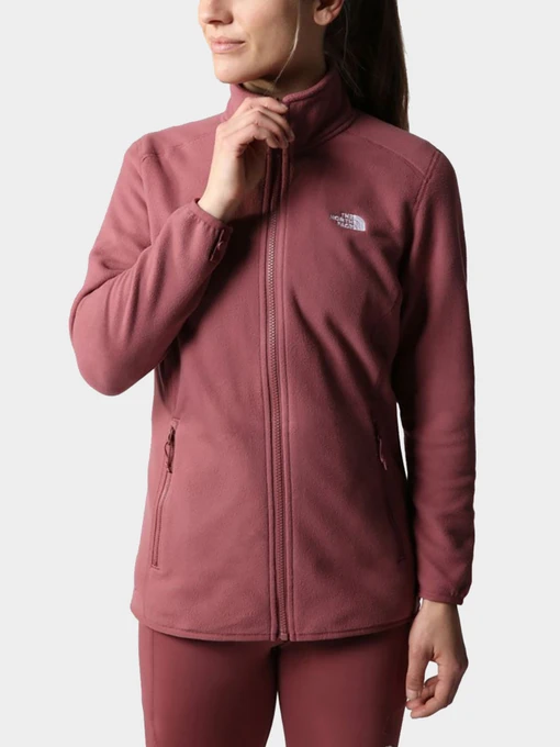 Худи и свитшоты The North Face модель NF0A5IHO6R41 Фото