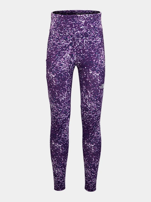 Брюки The North Face модель NF0A5IYO2H81 Фото