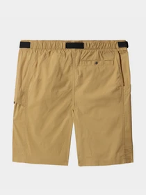 Шорты The North Face модель NF0A7Q9SZSF1 Фото
