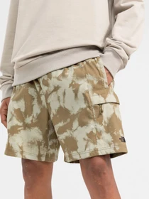Шорты The North Face модель NF0A7QLA53M1 Фото
