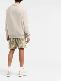 Шорты The North Face модель NF0A7QLA53M1 Фото