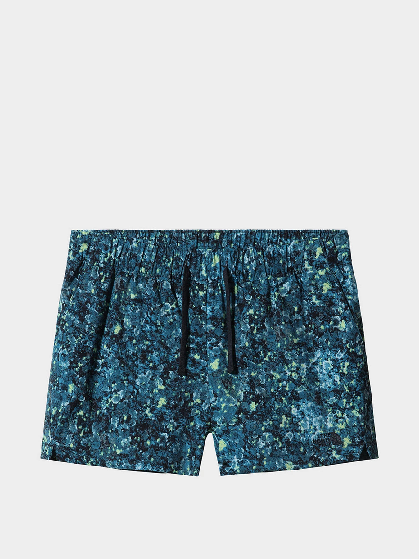 Шорты The North Face модель NF0A7QLS5401 Шорты The North Face модель NF0A7QLS5401 Фото