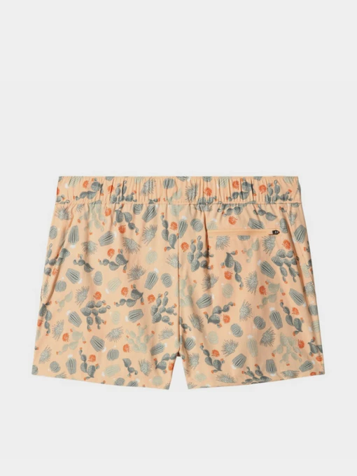 Шорты The North Face модель NF0A7QLS5M11 Фото