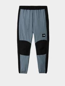 Брюки The North Face модель NF0A7R2HA9L1 Фото