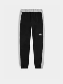 Брюки The North Face модель NF0A7R2HJK31 Фото