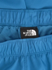 Шорты The North Face модель NF0A7UIKM191 Фото