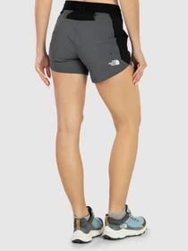 Шорты The North Face модель NF0A7WZRF9L1 Фото