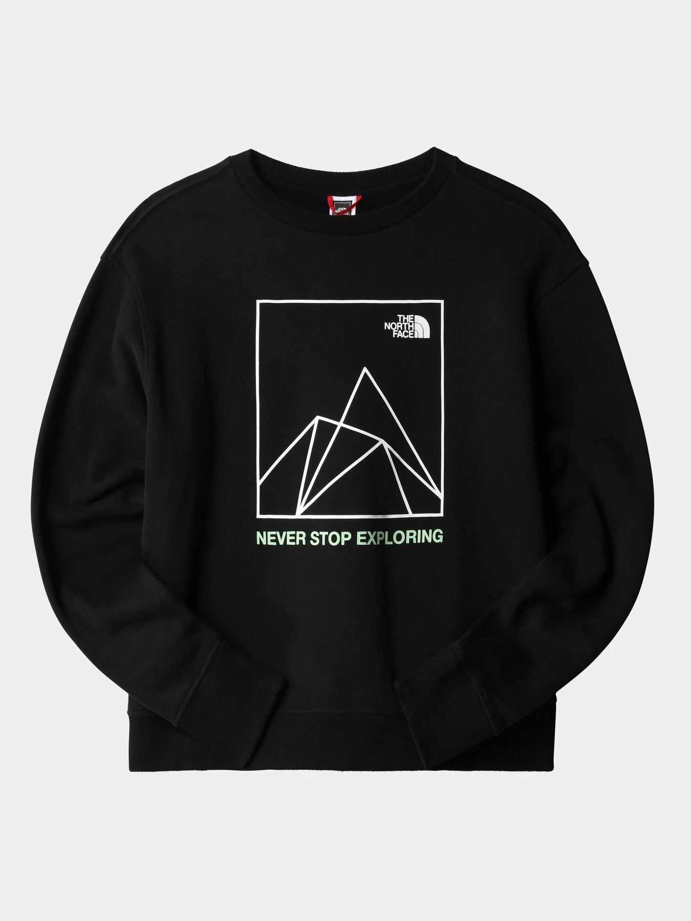 Худи и свитшоты The North Face модель NF0A7X2FI331 Фото