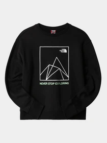 Худи и свитшоты The North Face модель NF0A7X2FI331 Фото
