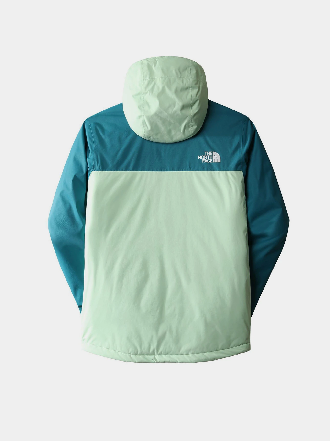 Куртки и дубленки The North Face модель NF0A7X3O6S01 Куртки и дубленки The North Face модель NF0A7X3O6S01 Фото