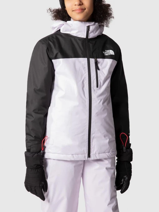 Куртки и дубленки The North Face модель NF0A7X3O6S11 Фото