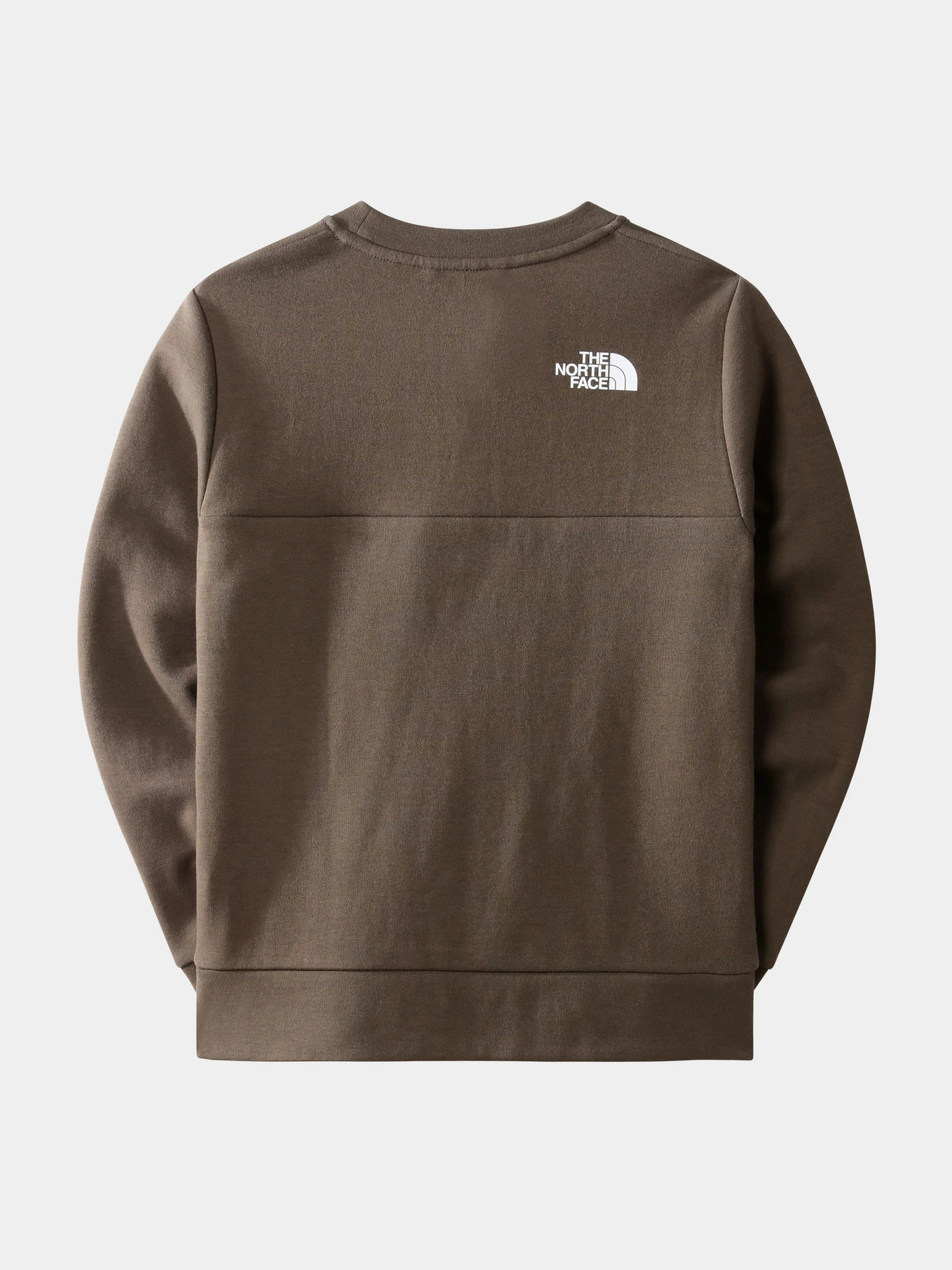 Худи и свитшоты The North Face модель NF0A7X3T21L1 Худи и свитшоты The North Face модель NF0A7X3T21L1 Фото