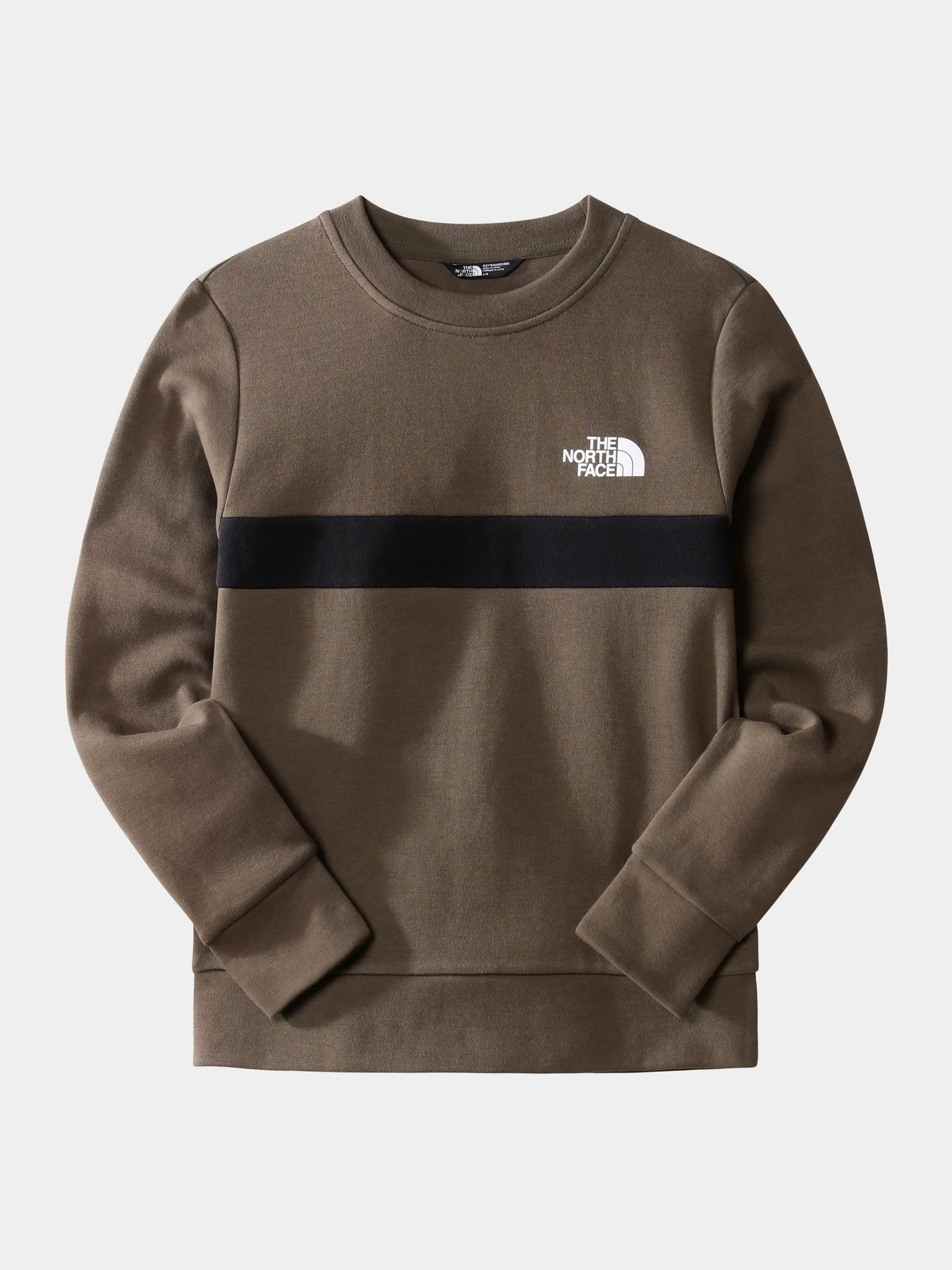 Худи и свитшоты The North Face модель NF0A7X3T21L1 Худи и свитшоты The North Face модель NF0A7X3T21L1 Фото