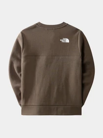 Худи и свитшоты The North Face модель NF0A7X3T21L1 Фото