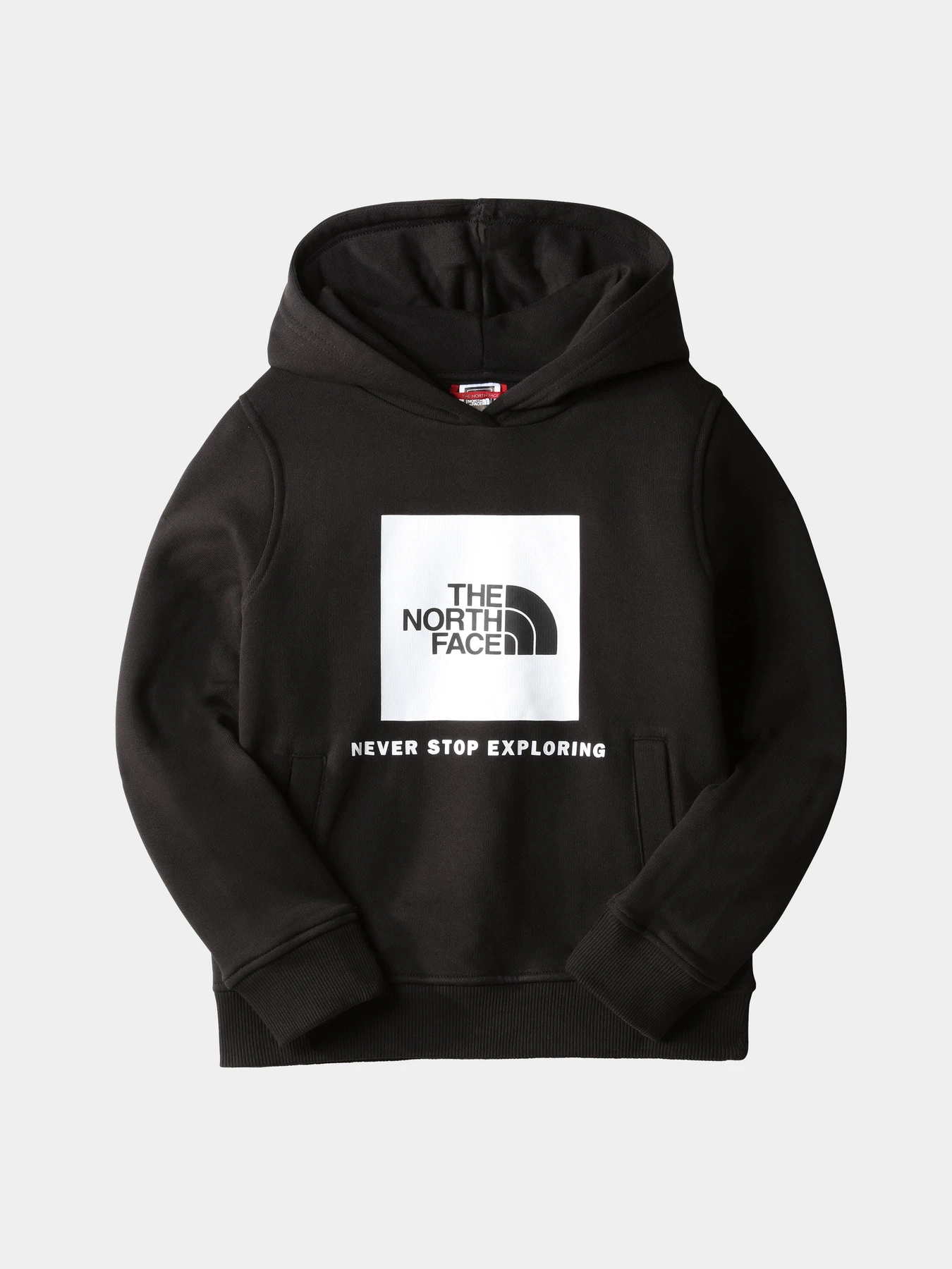 Худи и свитшоты The North Face модель NF0A7X56JK31 Фото