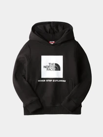 Худи и свитшоты The North Face модель NF0A7X56JK31 Фото