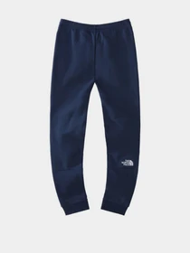 Брюки The North Face модель NF0A7X588K21 Фото