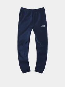Брюки The North Face модель NF0A7X588K21 Фото