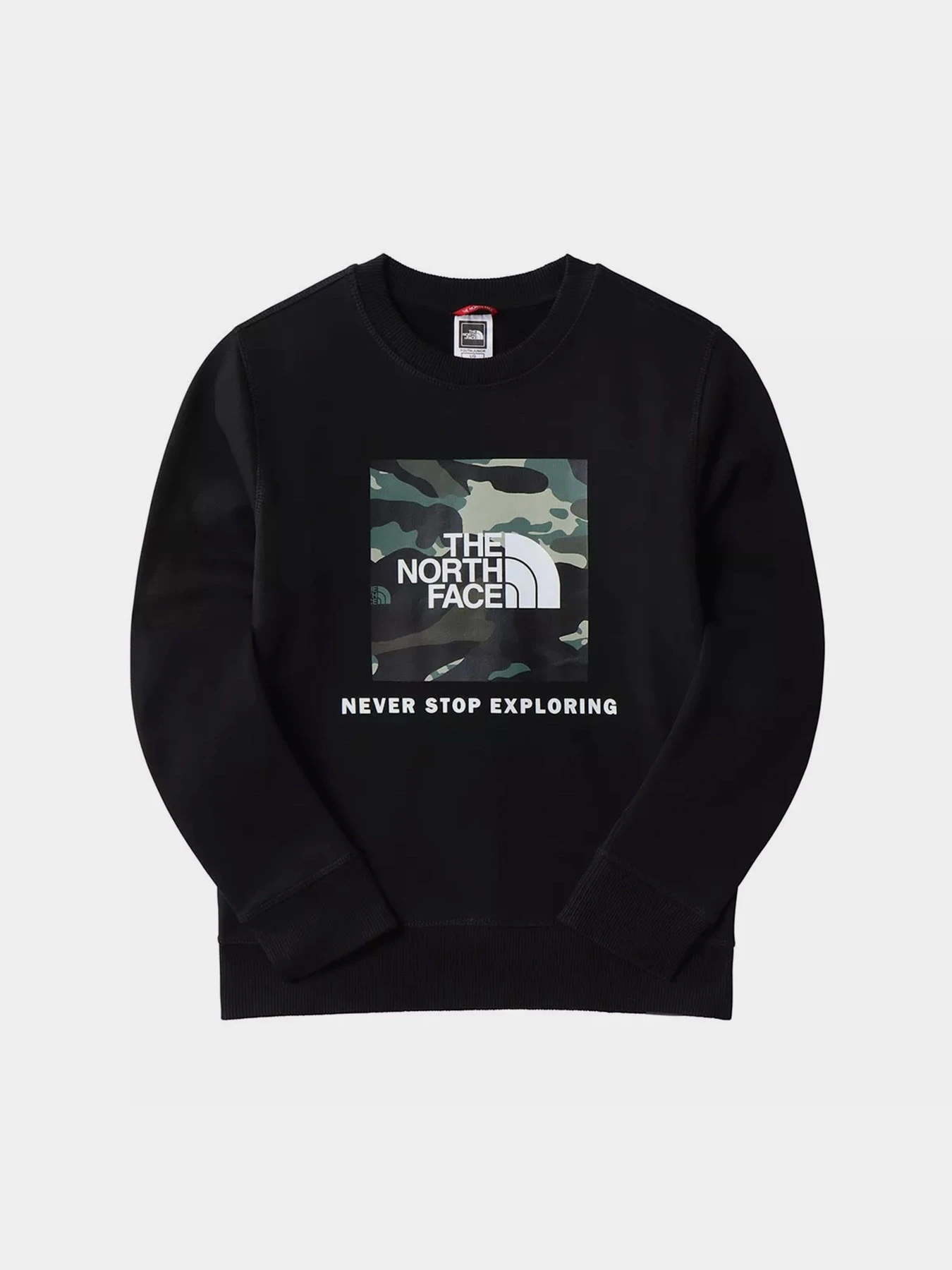 Худи и свитшоты The North Face модель NF0A7X59JK31 Фото