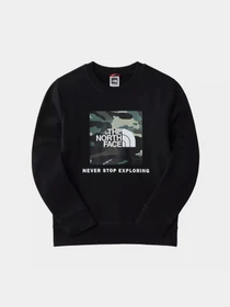 Худи и свитшоты The North Face модель NF0A7X59JK31 Фото