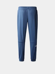 Брюки The North Face модель NF0A7Z9PHDC1 Фото