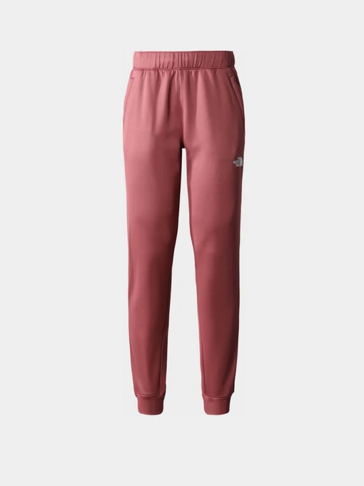 Брюки The North Face модель NF0A7ZAB6R41 Фото