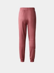 Брюки The North Face модель NF0A7ZAB6R41 Фото