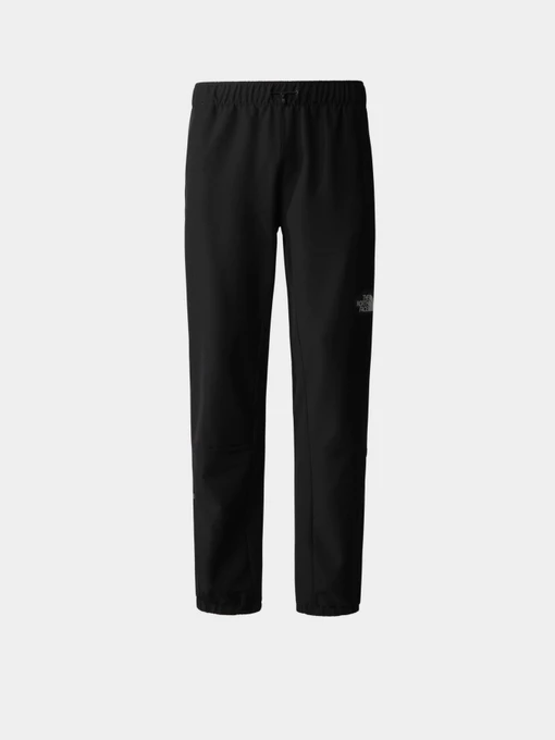 Брюки The North Face модель NF0A7ZAIJK31 Фото