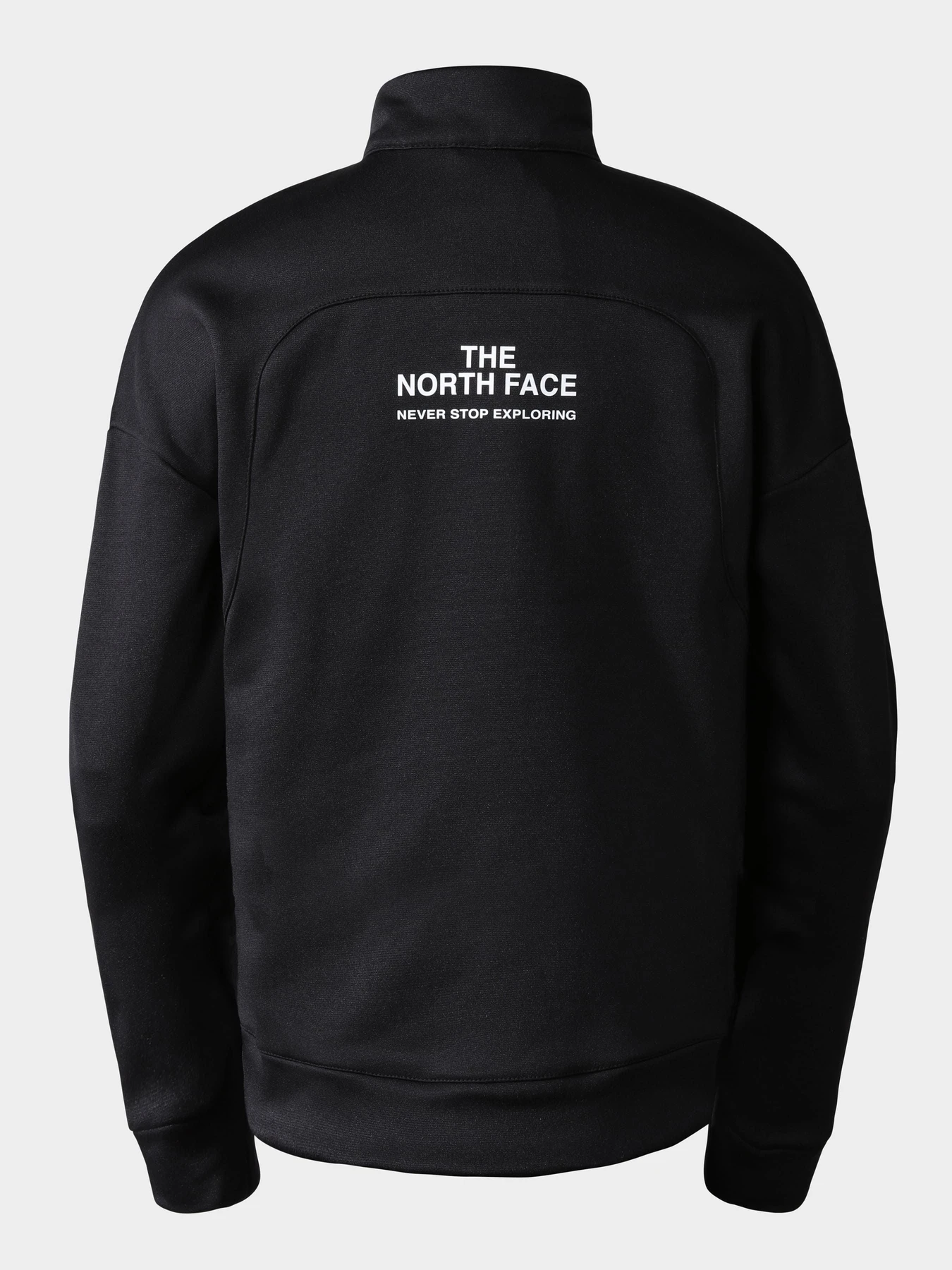 Худи и свитшоты The North Face модель NF0A7ZASJK31 Худи и свитшоты The North Face модель NF0A7ZASJK31 Фото