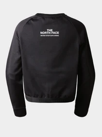 Худи и свитшоты The North Face модель NF0A7ZATJK31 Фото
