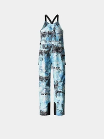 Брюки The North Face модель NF0A7ZUG9C11 Фото