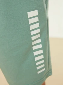 Шорты Trendyol модель TMNSS21SR0137/Mint Фото