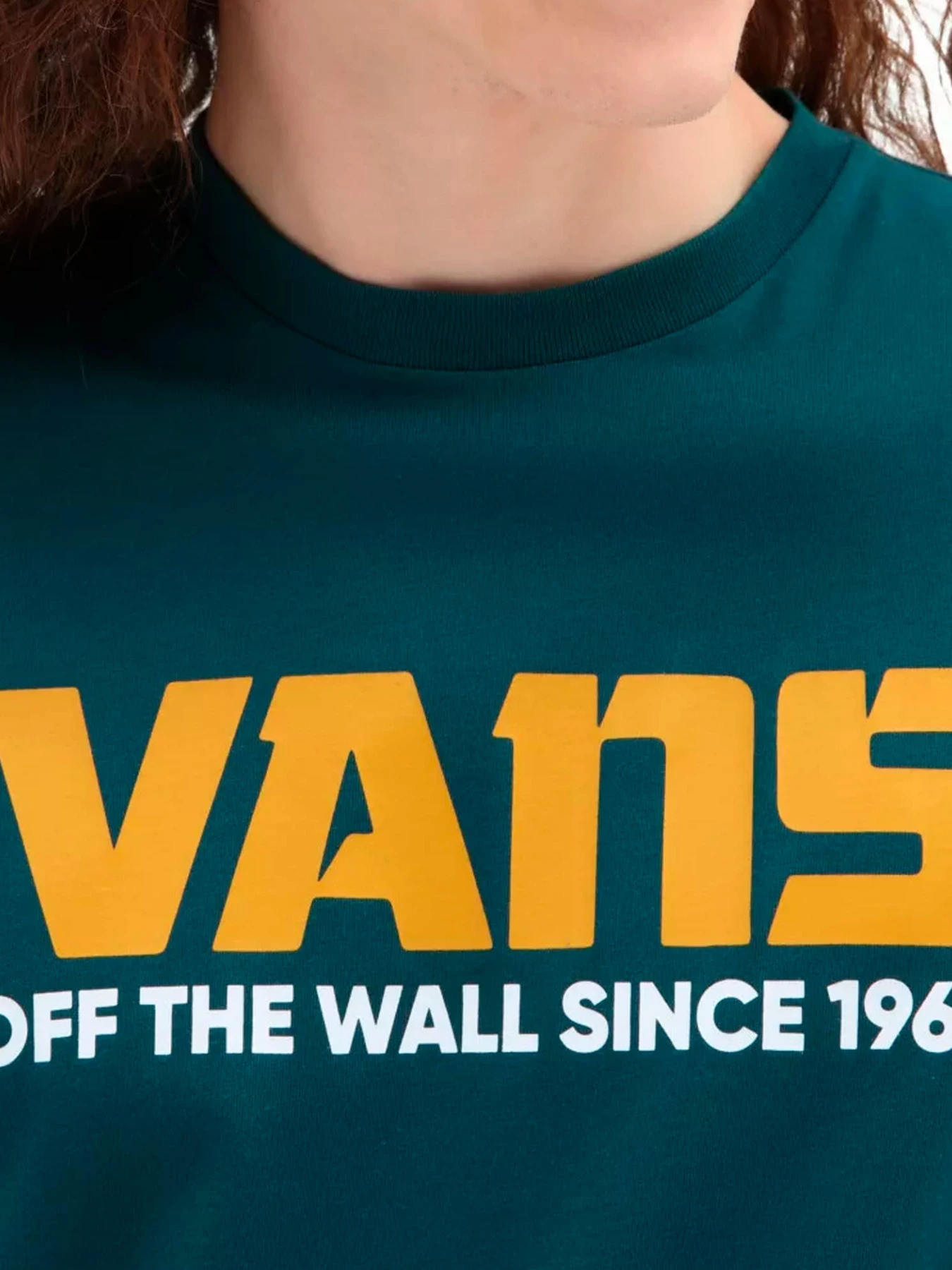 Худи и свитшоты Vans модель VN00001D60Q1 Фото