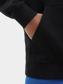 Худи и свитшоты Vans модель VN000022BLK1 Фото