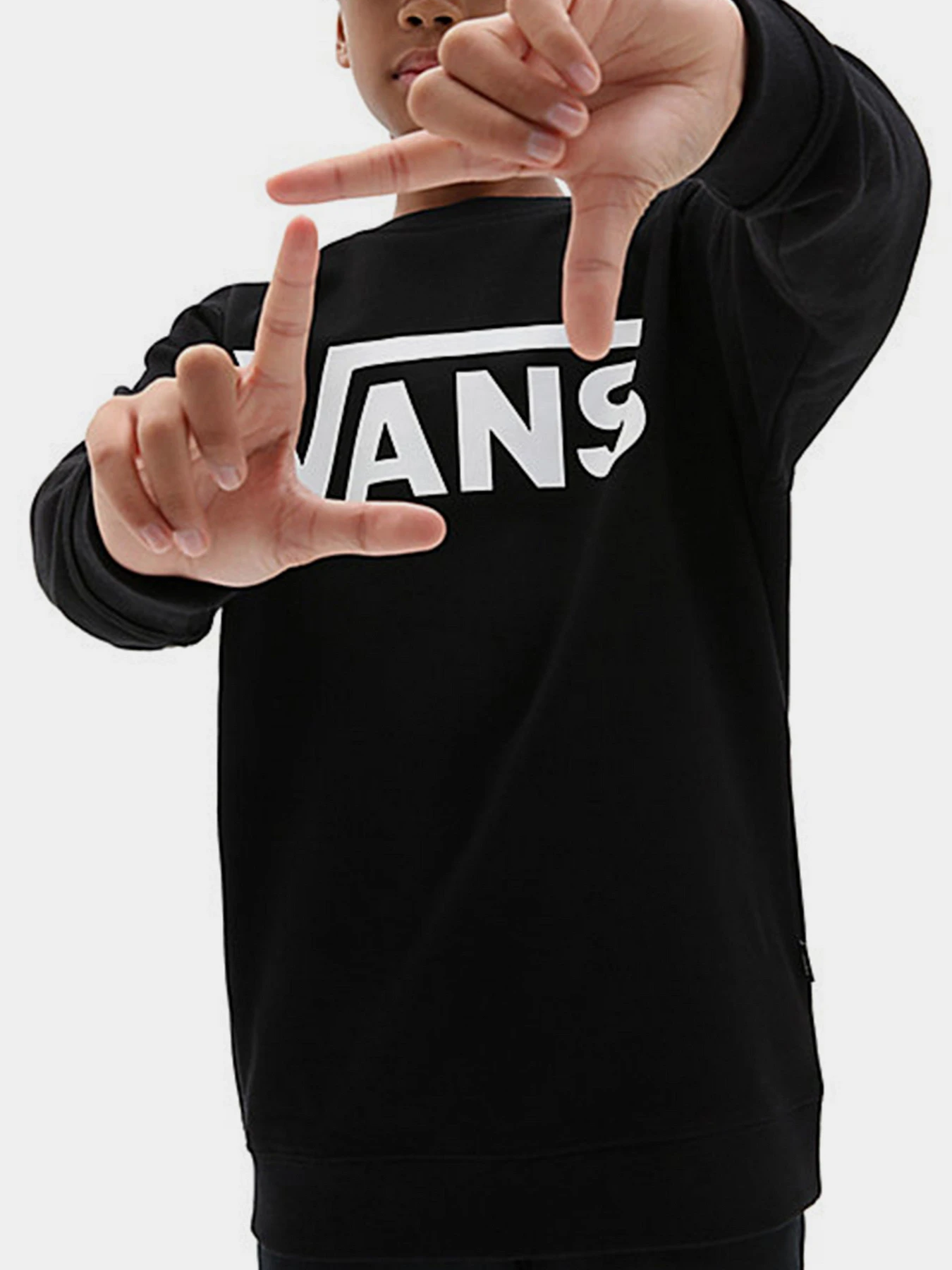 Худи и свитшоты Vans модель VN0A36MZY281 Фото