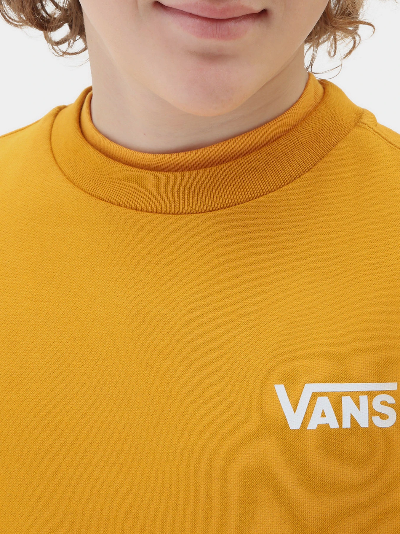 Худи и свитшоты Vans модель VN0A3HWCF3X1 Худи и свитшоты Vans модель VN0A3HWCF3X1 Фото