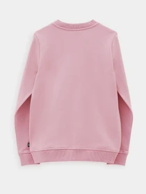 Худи и свитшоты Vans модель VN0A4S97BD51 Фото