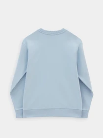 Худи и свитшоты Vans модель VN0A5AQ1BD21 Фото