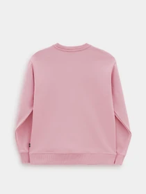 Худи и свитшоты Vans модель VN0A5AQ1BD51 Фото