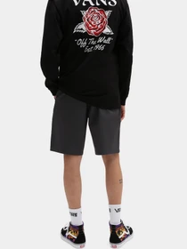 Шорты Vans модель VN0A5FJX1O71 Фото