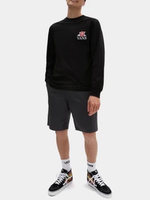 Шорты Vans модель VN0A5FJX1O71 Фото