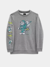 Худи и свитшоты Vans модель VN0A5FMW02F1 Фото