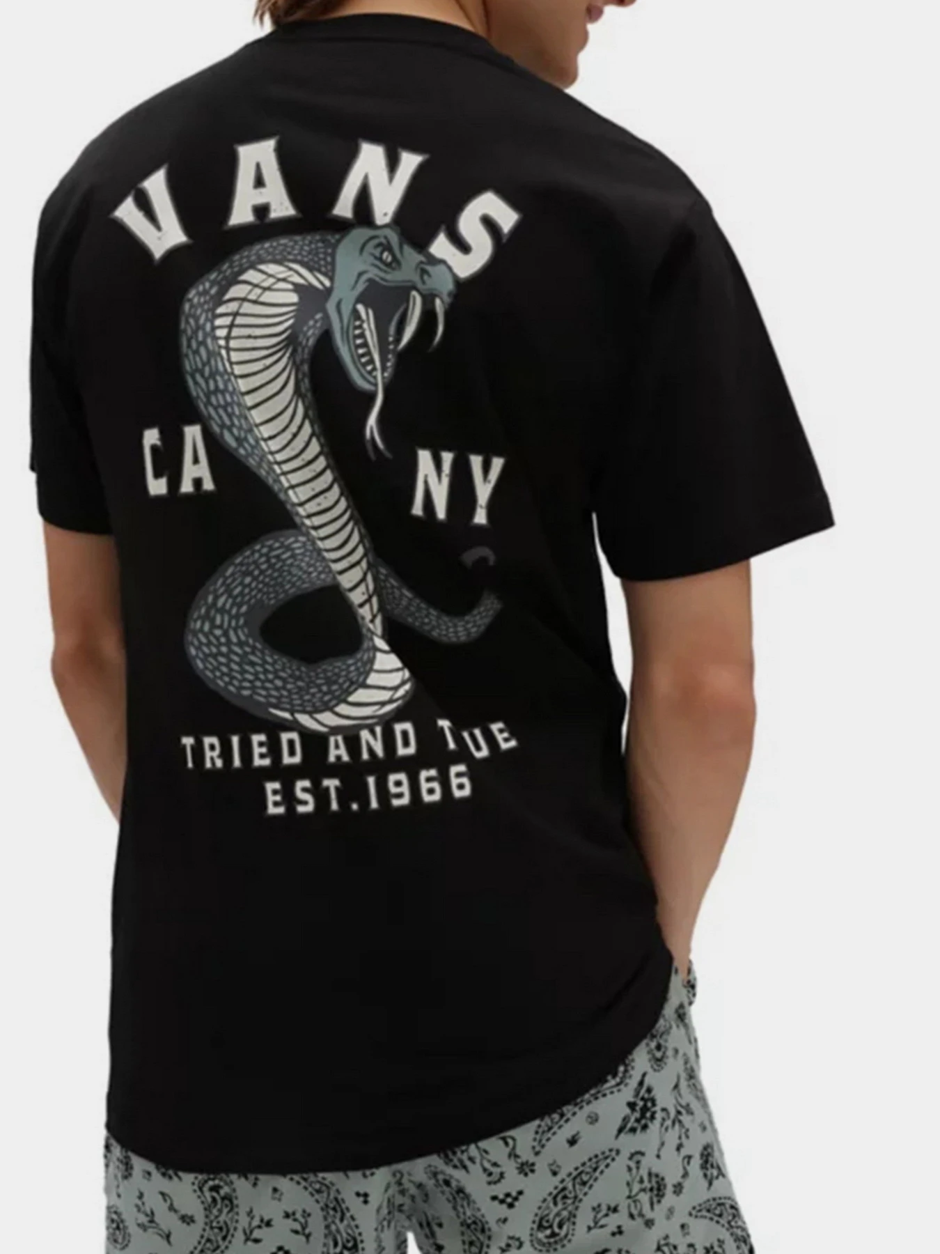 Футболки и поло Vans модель VN0A7PLSBLK1 Фото